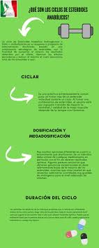 Conoce Cuales Son Los Ciclos De Esteroides Anabolicos