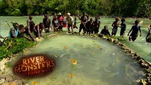 Unlock evolution and take them out to enjoy your feeding frenzy in this monster fish game. Solomon Islands Archives The World Hour