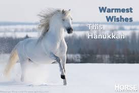 Happy Hanukkah From Horse Illustrated Horses In Snow Horses Horse Wallpaper