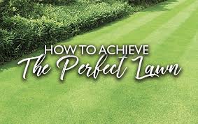 When should i overseed my lawn in missouri. How To Achieve The Perfect Lawn Hillier Garden Centres