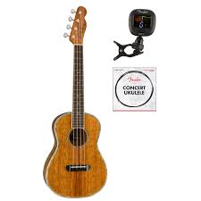 4.6 out of 5 stars 1,912. Fender California Coast Tenor Ukulele Strings 90t Ukulele Strings Musical Instruments Dj Tennesseegreenac Com