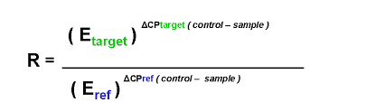 Bioinformatics Relative Quantification Using Real Time Pcr