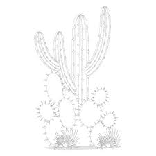 Maybe you would like to learn more about one of these? 6 Best Desert Diorama Printables Printablee Com