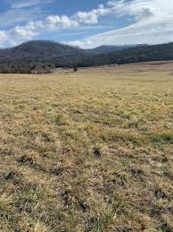 Land for sale with fresh water spring. Recreation