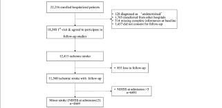 Flow Chart Showing The Patient Selection Nihss National