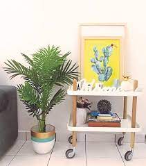 Check spelling or type a new query. Mood Segar Dengan Daun Tiruan
