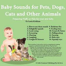 Baby Sounds For Pets Dogs Cats And Other Animals Preparing Fluffy Or Fido For Your New Baby Album By Dr Lewis Kirkham Spotify