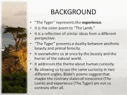 Tyger tyger, burning bright, in the forests of the night. The Tyger Songs Of Experience By William Blake Ppt Download