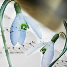 Imagini de colorat martisoare gratuit pentru a imprima danielvente.xyz. 13 Felicitari De 1 Martie Martisor Ideas 8 Martie French Flowers Easter Wishes