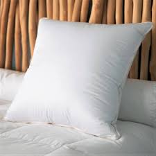 We did not find results for: Oreiller Duvet Neuf Castex