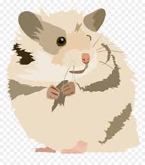 102 transparent png of hamster. Hamster Clip Arts Hamster Clipart Transparent Background Hd Png Download Vhv