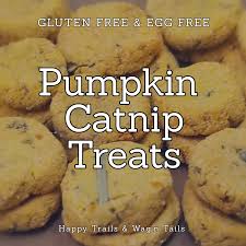 Homemade cat treat recipes, from basic ones, to more complicated ones. Gf Pumpkin Catnip Treats Vegan Dog Treats Homemade Cat Food Homemade Cat Treats Recipes