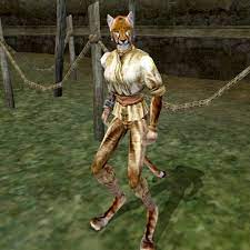 The Unofficial Elder Scrolls Pages