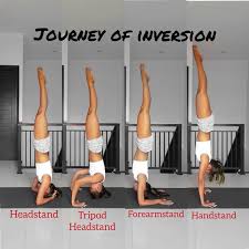 How To Practice Yoga On Instagram Which One Are Are You On Or Would You Like To Get To Learn The Pro Yoga Inversions Yoga Handstand Yoga Fitness Inspiration