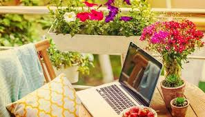 ¿dispones de un balcón o terraza y te gustaría decorarlos con plantas con flores colgantes llamativas? 24 Plantas De Sol Muy Resistentes Ideales Para Terrazas Y Balcones