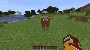 This wikihow teaches you how to make a minecraft sheep cycle through rainbow colors. Rainbow Sheep Minecraft Guide To Get Awesome Color Changing Sheep Game Specifications