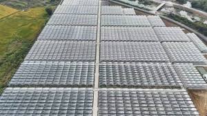 这是一场将要改变广东蔬菜产业的大会– 潮科技