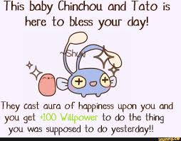 This Baby Chinchou And Toto Is Here To Bless Your Day They Cost Aura Of Happiness