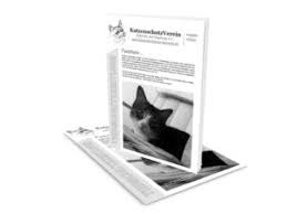 Immer öfter sind ihre sprünge unpräzise, immer wieder verfehlt sie ihr. Vermisstenmeldung Katzenschutzverein Karlsruhe Und Umgebung E V