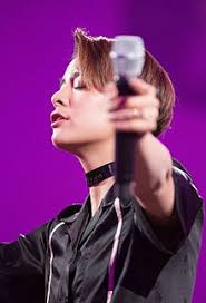 Amber Liu (penyanyi)