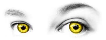 We have a valid 510k for all our lenses ! Eyecare Universe Blog Eyecare Universe Blog Authorized Acuvue Contact Lenses Bausch Lomb Contact Lenses Ciba Vision Contact Lenses Coopervision Contact Lenses Retailer