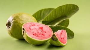 Daun jambu batu berkhasiat untuk. 8 Manfaat Buah Jambu Biji Dan Daunnya