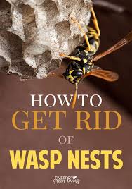 Staple pointed end of bag underneath soffit. How To Get Rid Of Wasp Nest Five Spot Green Living