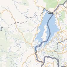 Image result for Agelanthus keilii