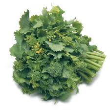 Broccoli raab '60 days' seeds from mr fothergill's seeds and plants. Broccoli Raab Ingredient Finecooking