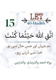 safiya Safiya Salim Pathan (safiyasalimpathan13)