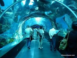 Quick Guide To The Fabulous Things To Do In Sentosa Island Family Travel Blog Travel With Kids Family Travel Blog Sea Aquarium Travel Inspo