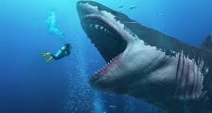 Megalodon Historys Largest Predator That Mysteriously Vanished