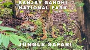 Lion & Tiger Safari in Mumbai ...