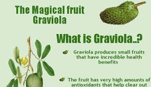 The tree compounds proved to be up to 10,000 times stronger in slowing the growth of cancer cells than adriamycin, a commonly used chemotherapeutic drug! Graviola Side Effects Hrf