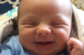 Fundraiser by Courtney Christensen : Baby Hatch Support