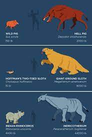 The Past Is Packed With Monsters Behemoths By The Extinct Animals Prehistoric Animals Ancient Animals