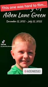 Aiden Lane Green