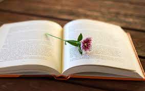 [Hình: images?q=tbn:ANd9GcRUThEDNKP-9BZ912dBQ7o...o&usqp=CAU]