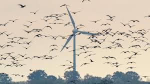 Beliebtheit niedrigster preis beste ergebnisse erscheinungsdatum höchster preis artikelbezeichnung. Erneuerbare Energien Decken Fast Die Halfte Des Stromverbrauchs Wirtschaft Nordbayern De