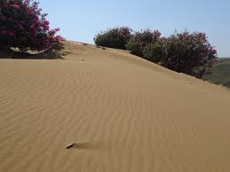 With an area of approximately 480 km² lemnos is the ninth largest island in greece. Sand Dunes Lemnos Greece Picture Of Sand Dunes Lemnos Tripadvisor