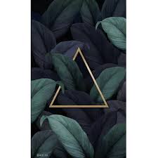 like following aw 4k following aw 4k اكسبلور خلفيات تصوير تصويري شوارع رمزيات شروق ص photoshop pics anime drawings boy photography wallpaper