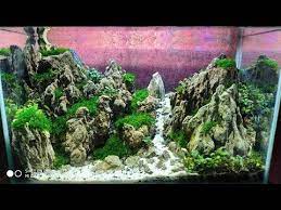 28 Aquascape Tema Bukit Youtube Tanaman Air Aquascaping Tanaman