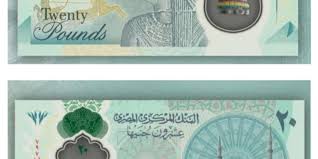 تدور أحداث المسلسل عن صبي ولد مصاباً بالتوحد وبسبب وفاة أخيه وكذلك الأرنب الذي كان يحبه قرر أن يصبح طبيبا ليساعد الآخرين. Dt6qjfz1yc A6m