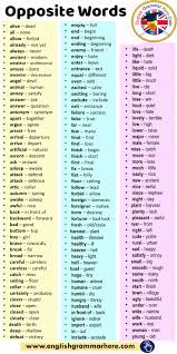 Fadel Harb (fadelharb)