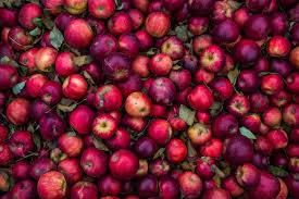 Thanks To Sydney Rae For Making This Photo Available Freely On Unsplash Gaspillage Alimentaire Cidre De Pomme Manger Des Fruits