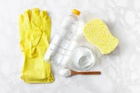 This part can be icky, so hold your nose if you get queasy. 9 Ways How To Clean Dog Vomit From Carpet Dog Endorsed