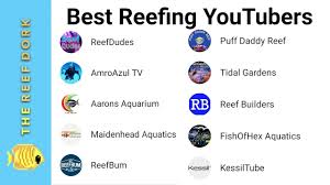 Top 7 Saltwater Aquarium Youtubers Youtube