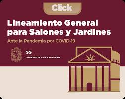 Ley de los derechos, protección e integración de las personas adultas mayores en el estado de baja california. Secretaria De Salud Del Estado De Baja California