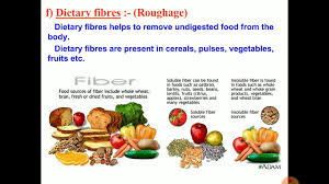 But not all plants are considered high in fiber. Roughage And Water Youtube