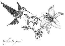 Hummingbird And Lily Tattoo Design By Sophiasargeant D6jcwt5 Jpg 1024 724 Hummingbird Tattoo Lily Flower Tattoos Lily Tattoo Design